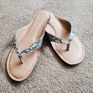NEW Aerosoles Bone Snake Leather Pocketbook Flip Flop Thong Sandals Size 8 M